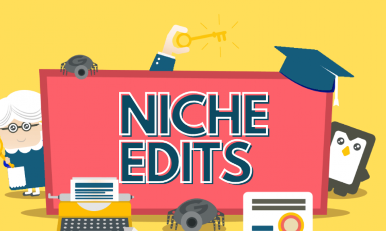 Niche Edits – A Quick Guide to Making the Most of Your Content